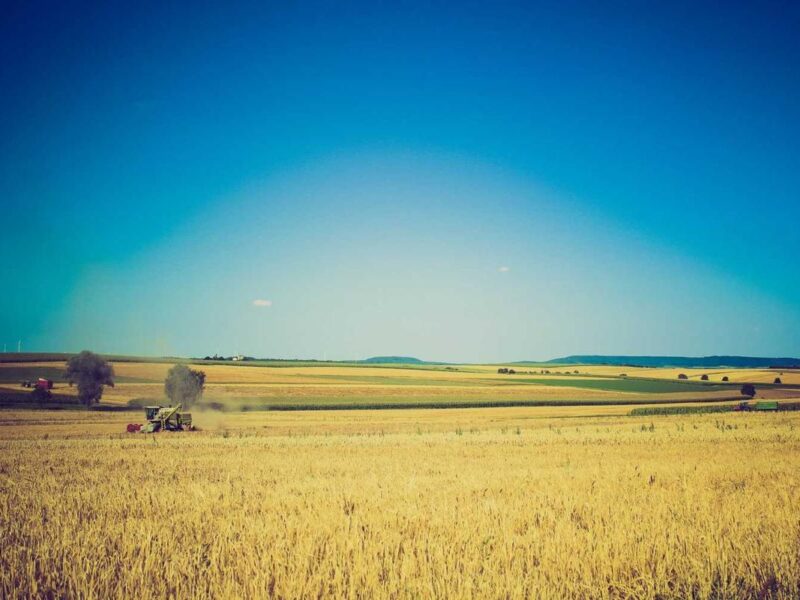 Cero Labranza en agricultura chilena