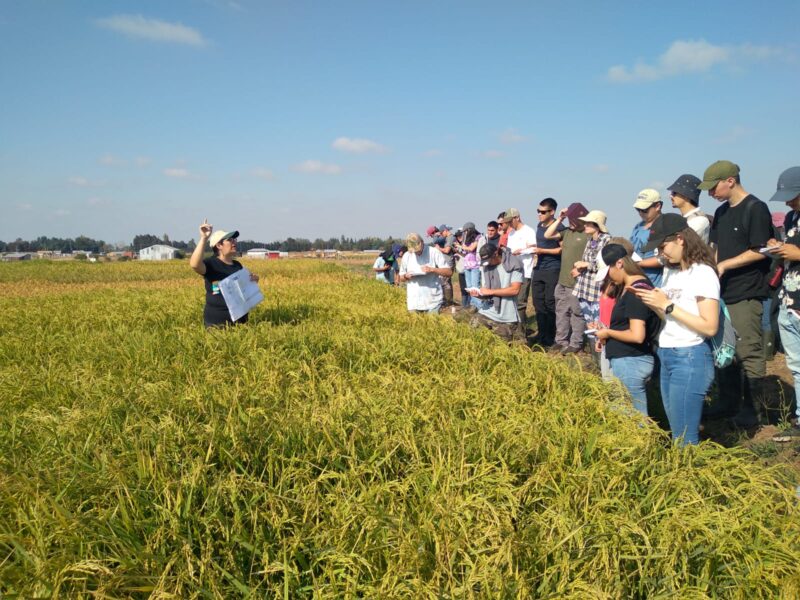 Estudiantes de agronomía en Chile realizando actividades prácticas en el campo.