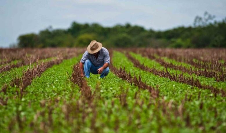 Futuro del agro chileno frente al cambio climático y la escasez hídrica