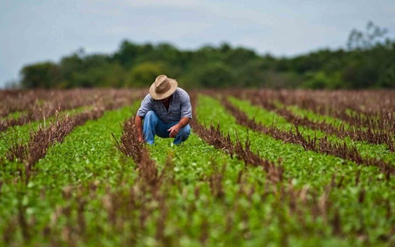 Futuro del agro chileno frente al cambio climático y la escasez hídrica