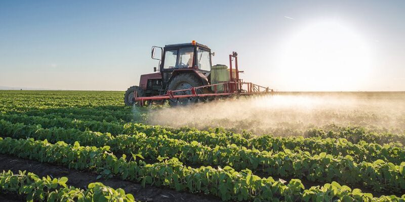 Diferencia entre sostenibilidad y sustentabilidad aplicada al agro chileno y a la producción agrícola responsable.