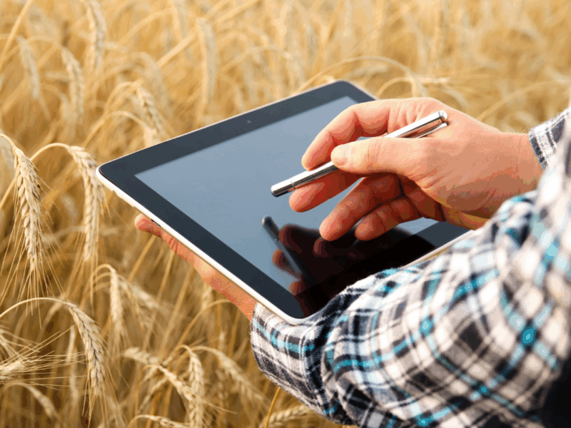 transformación AgriTech en Chile aplicada a la agricultura digital