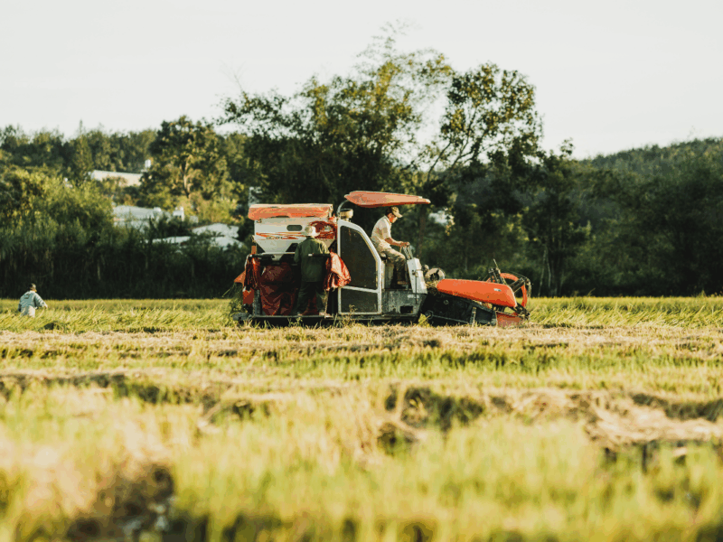 IA aplicada al agro chileno en sistemas de gestión agrícola