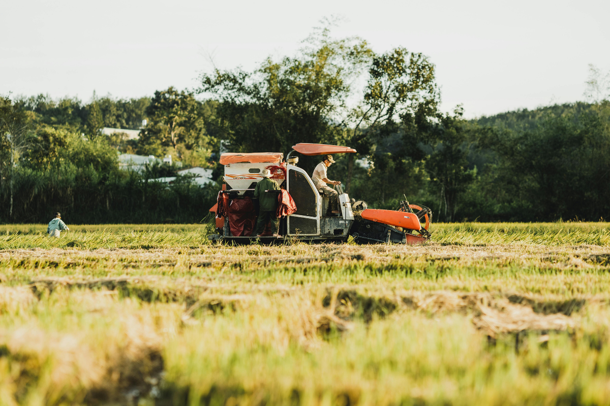 IA aplicada al agro chileno en sistemas de gestión agrícola