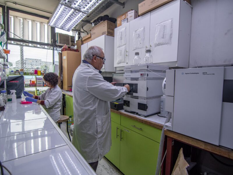 Nuevas técnicas genómicas en agricultura impulsan la innovación biotecnológica y la sostenibilidad agrícola