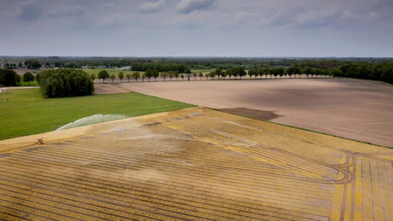 Reconversión agrícola en Europa frente al cambio climático y sus lecciones para Chile