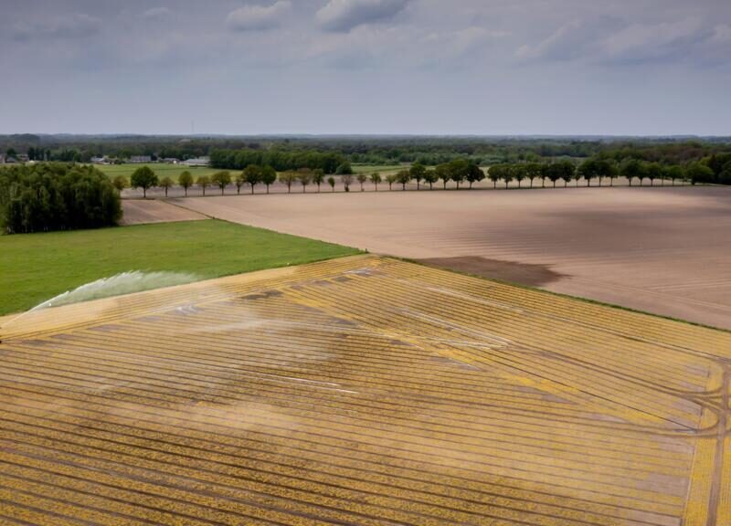 Reconversión agrícola en Europa frente al cambio climático y sus lecciones para Chile