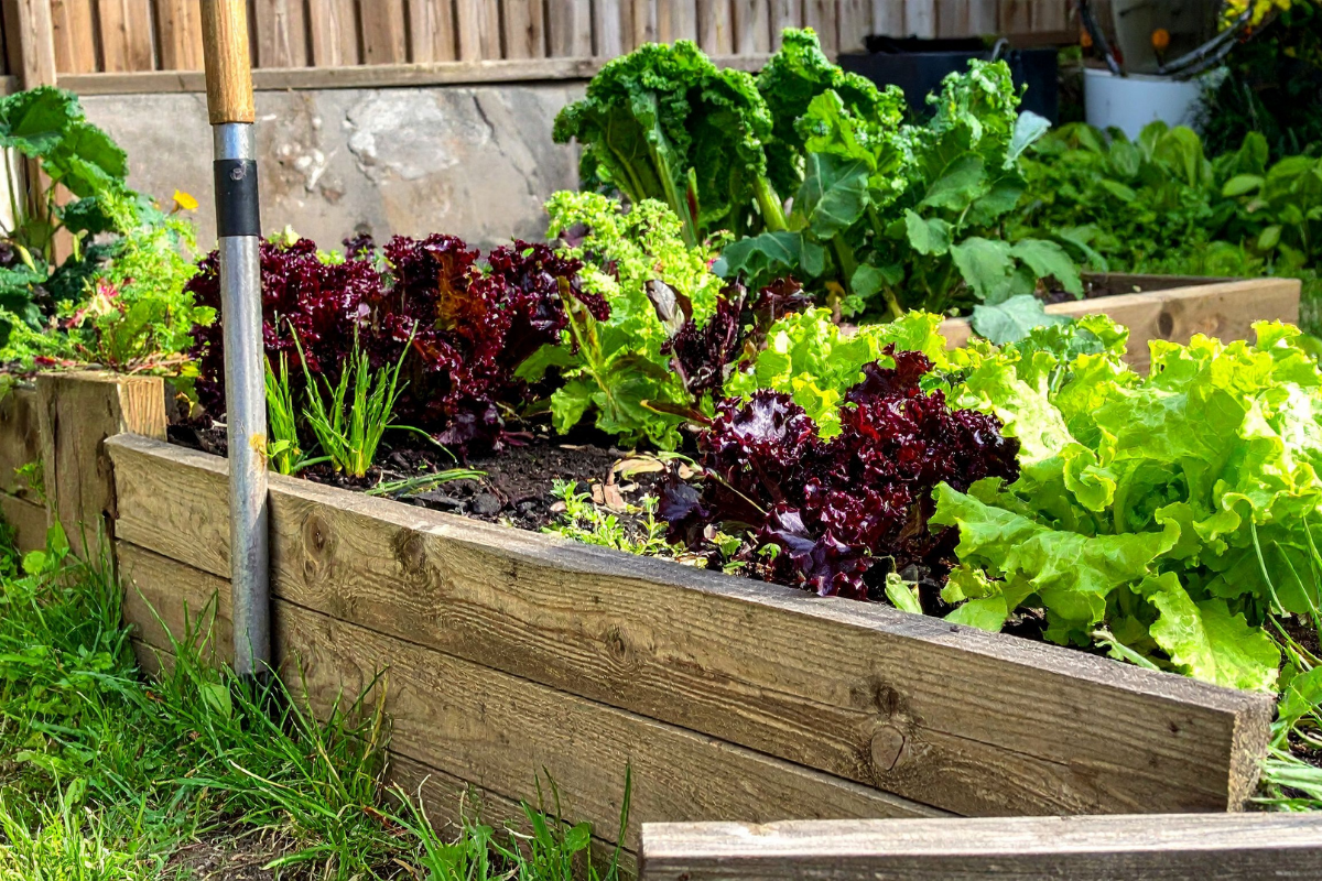 Huerta urbana con hortalizas creciendo en macetas y terrazas en plena ciudad.
