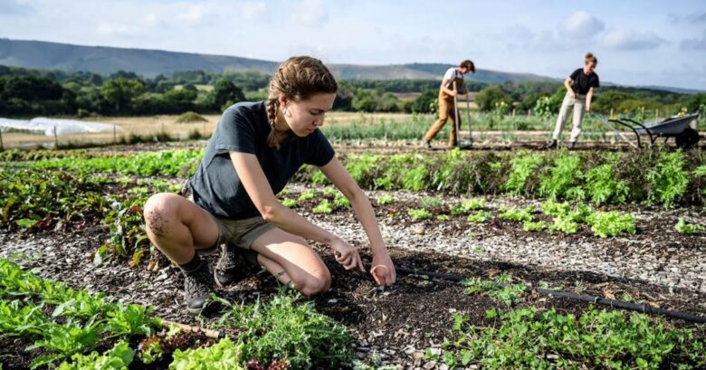 jovenes en la agricultura