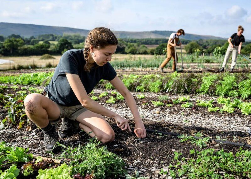 jovenes en la agricultura
