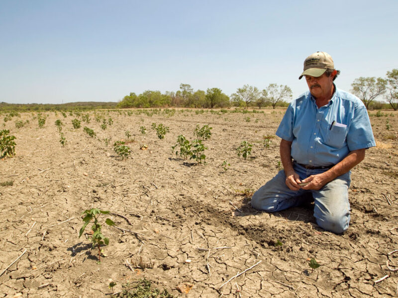 Amenazas de la agricultura chilena y oportunidades de adaptación frente a cambio climático y costos crecientes