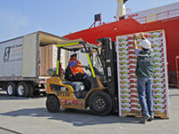 Exportaciones agroalimentarias de Chile inician 2026 con fuerte crecimiento y superan los US$1.300 millones