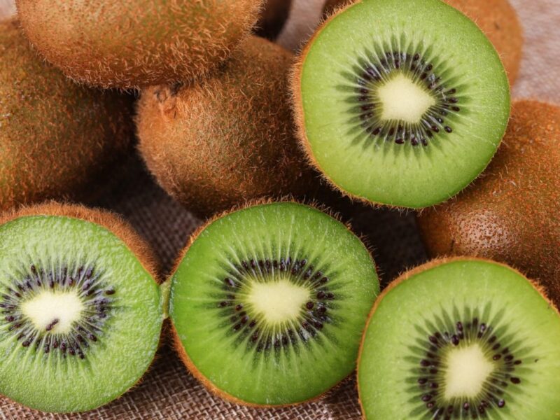 Kiwi chileno fortalece su posicionamiento global con nuevas variedades y foco en calidad