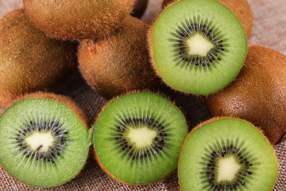 Chile productor y exportador de kiwi destaca por su calidad y rol estratégico en el mercado internacional de kiwis frescos.
