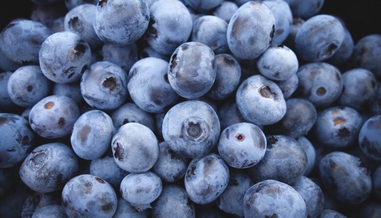 Arándanos ricos en antioxidantes, fruta con beneficios nutricionales y oportunidad para Chile