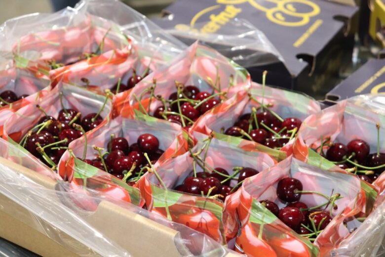 Cerezas chilenas en proceso de embalaje y preparación para su exportación al mercado chino