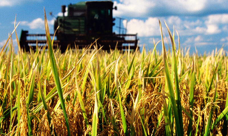 Paquete de ayuda agrícola de Estados Unidos y su impacto en los mercados agrícolas