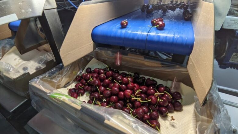 exigencias exportaciones agro Chile