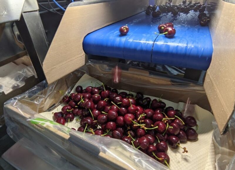 exigencias exportaciones agro Chile