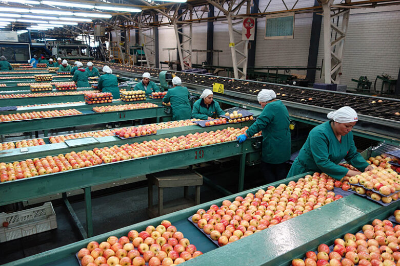 inflación alimentos agricultura Chile