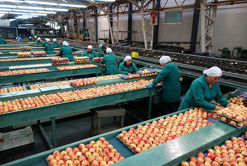 inflación alimentos agricultura Chile