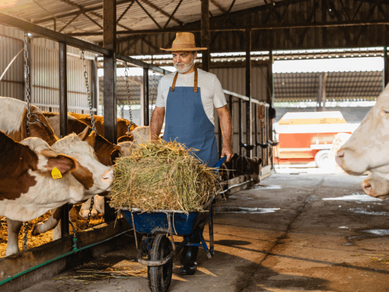 Desafío alimentario global y agricultura sostenible frente al aumento de la población mundial.