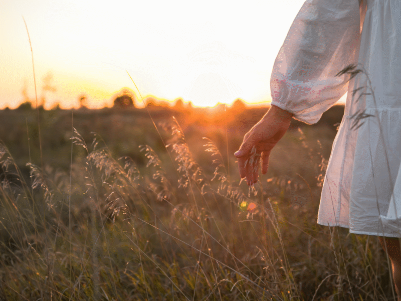 apoyo a damnificados por incendios en el agro
