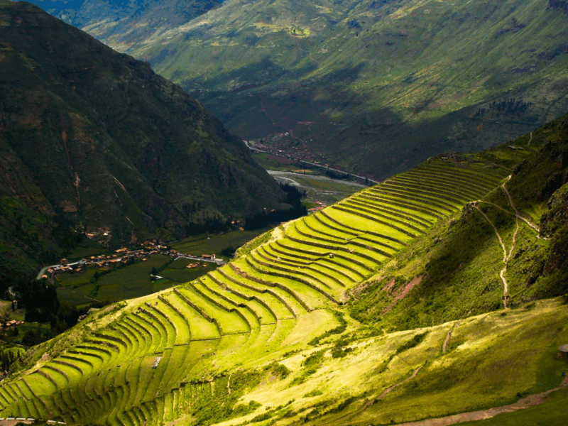 Feria Regional de la Fruta 2026 en Cajamarca