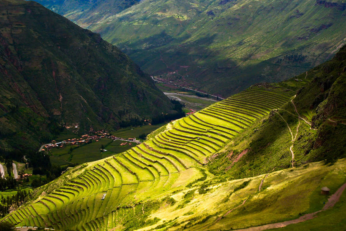 Feria Regional de la Fruta 2026 en Cajamarca