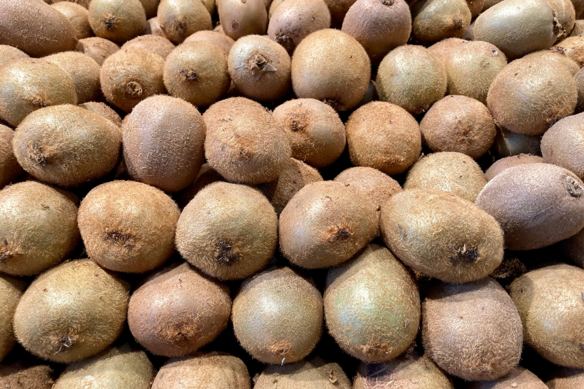 mercado del kiwi chileno