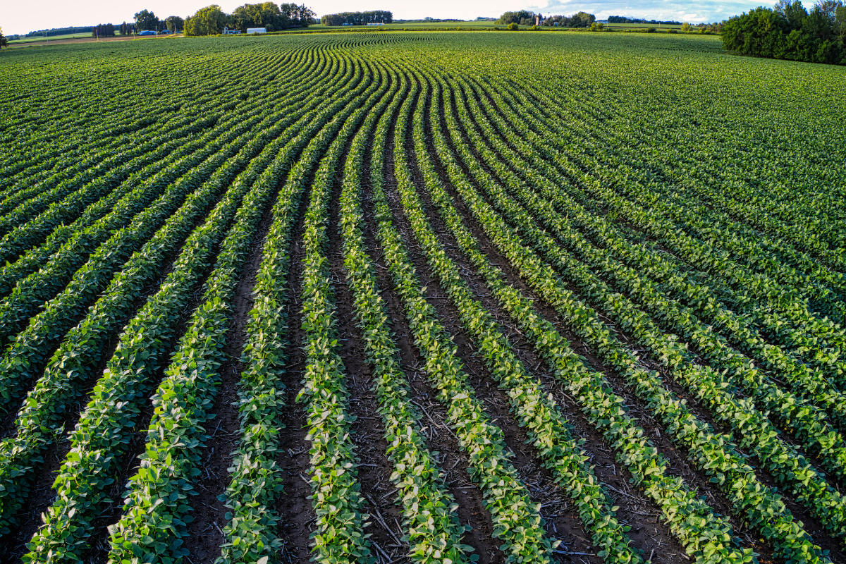 agricultura