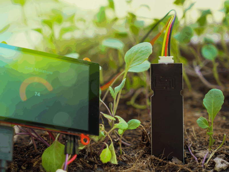 Plantas como sensores biológicos en el agro