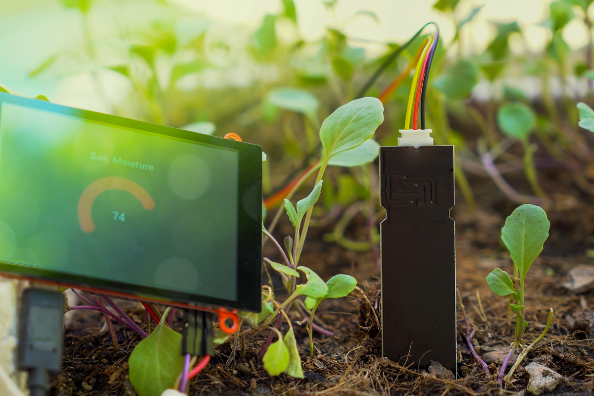 Plantas como sensores biológicos en el agro
