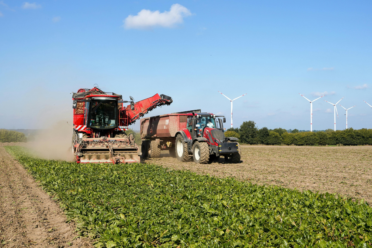 agricultura sostenible en el Maule