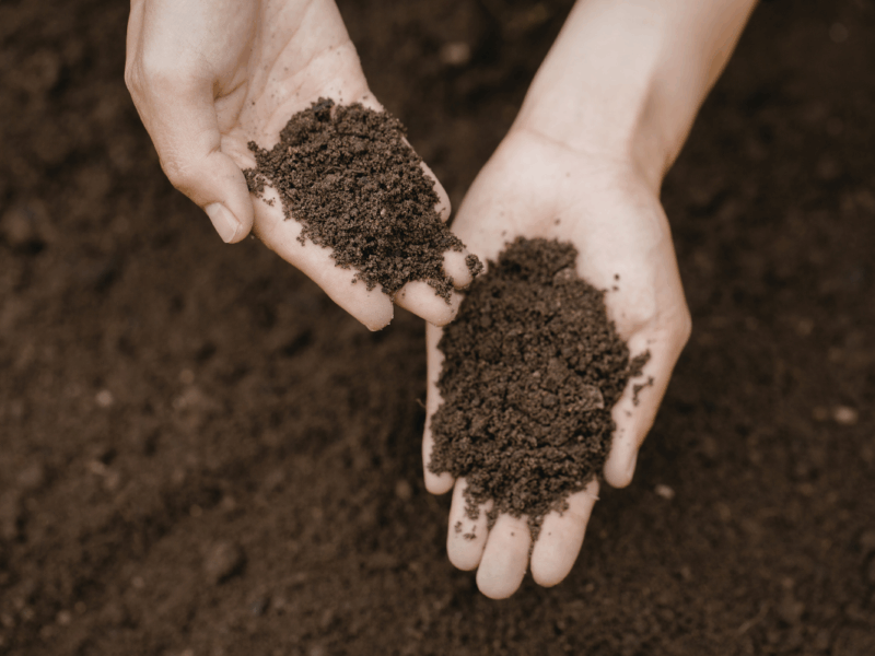 microbiología del suelo agrícola