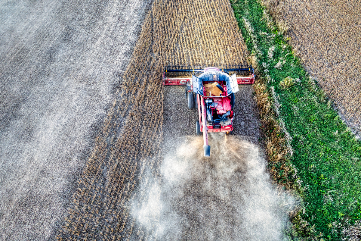 inteligencia artificial en el agro