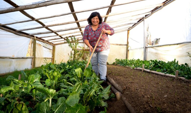 INDAP impulsa la agricultura sostenible en la Región del Biobío