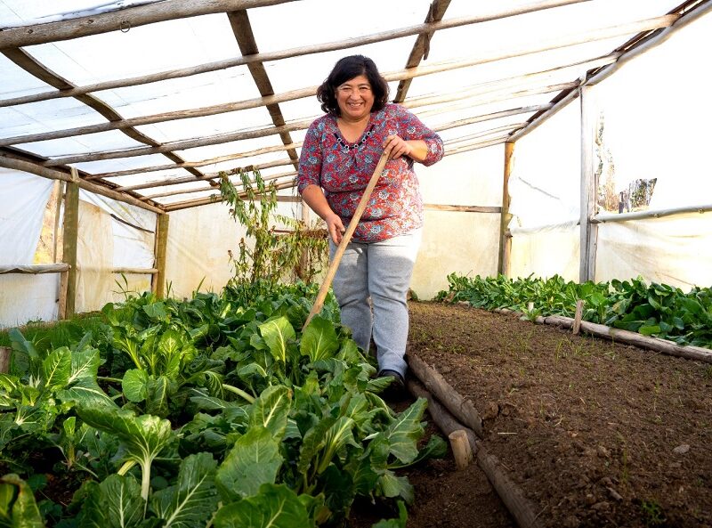 INDAP impulsa la agricultura sostenible en la Región del Biobío