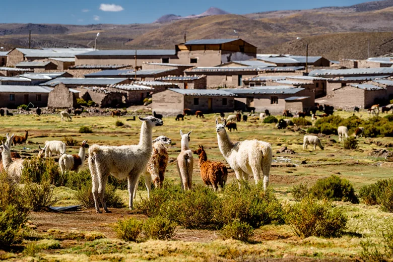 Sistemas agrícolas patrimoniales reconocidos por la FAO en Chile