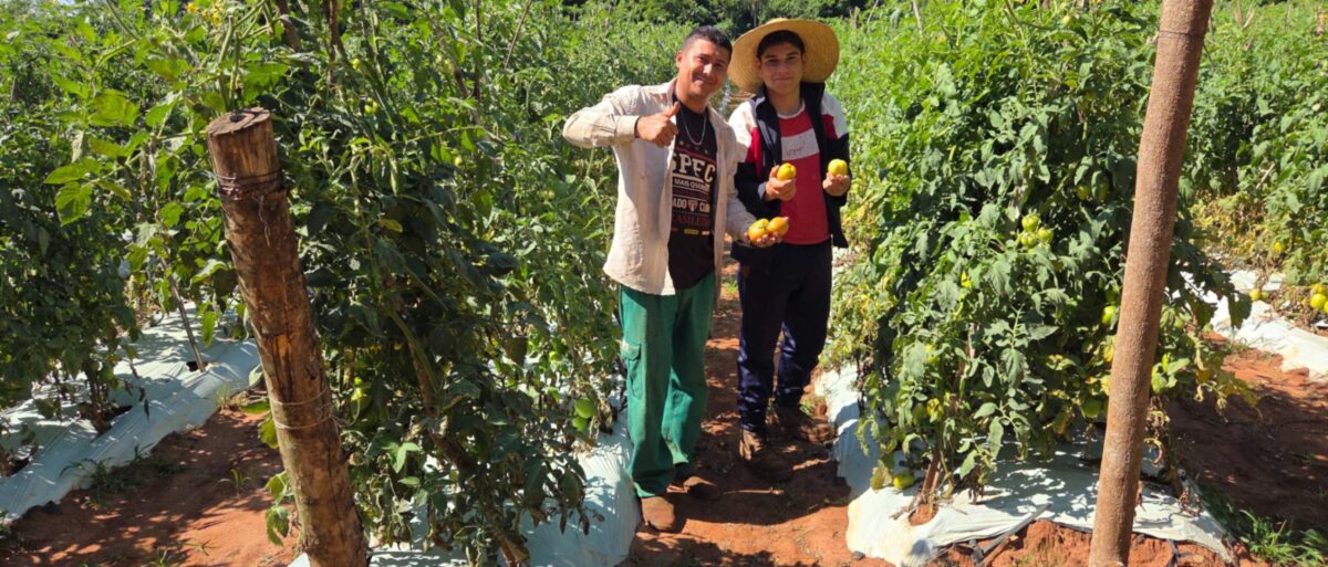 Seguridad alimentaria en países latinoamericanos