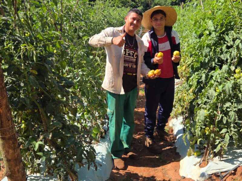 Seguridad alimentaria en países latinoamericanos