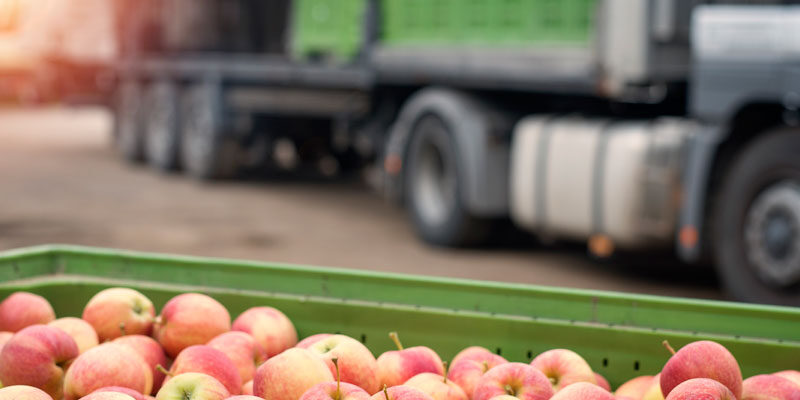 Errores en la cadena de frío durante la postcosecha y exportación de fruta fresca
