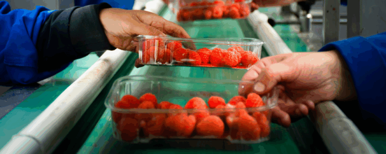 Productos agroalimentarios con valor agregado fortalecen la competitividad del agro.
