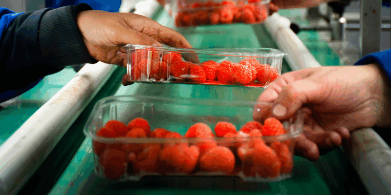 Productos agroalimentarios con valor agregado fortalecen la competitividad del agro.