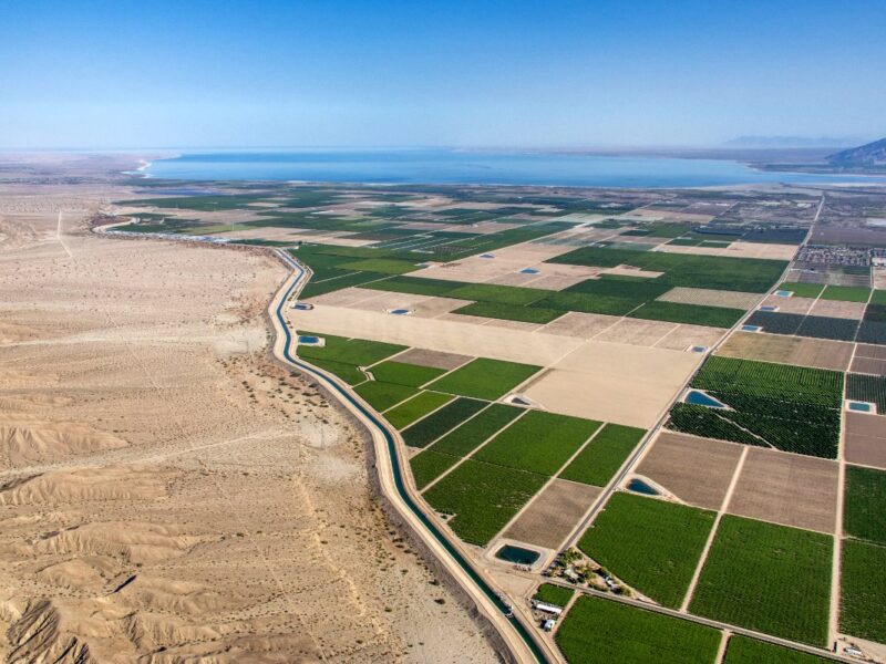 Agricultura en el desierto de Atacama con uso eficiente del agua y tecnologías adaptadas a zonas áridas de Chile.
