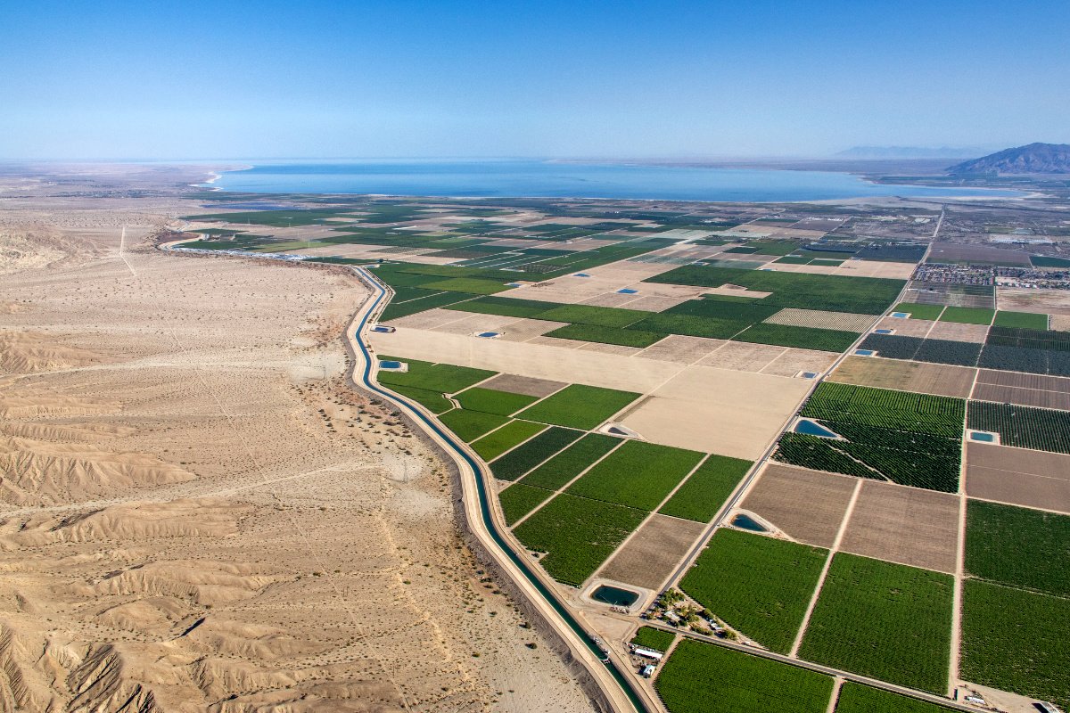 Agricultura en el desierto de Atacama con uso eficiente del agua y tecnologías adaptadas a zonas áridas de Chile.