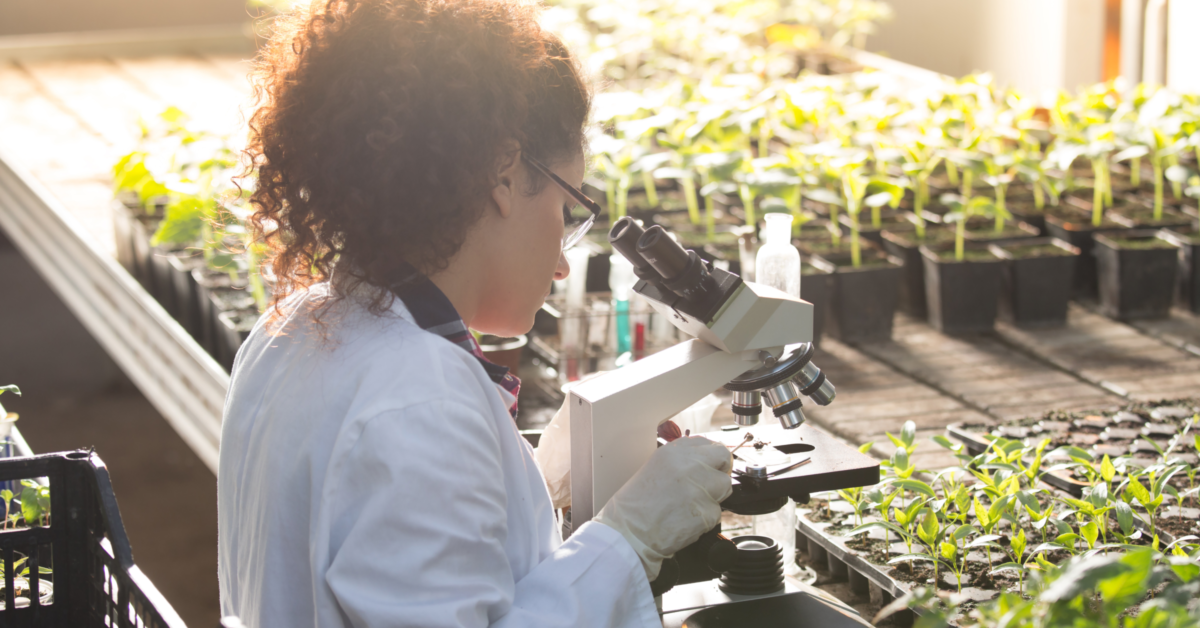 Soluciones de biotecnología agrícola desarrolladas por startups para reemplazar productos químicos.