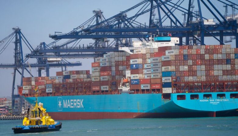 Exportaciones agrícolas chilenas en puerto marítimo, clave para la competitividad y la reputación país