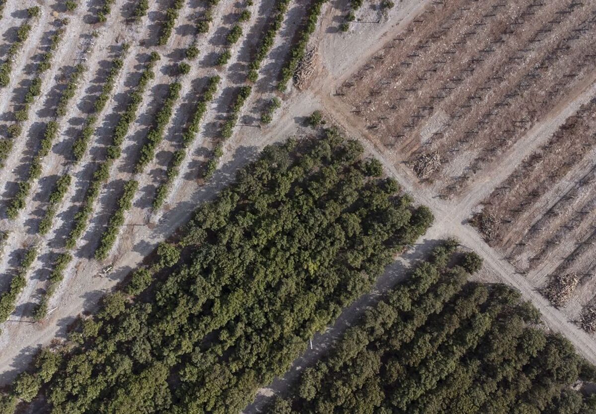 gestión hídrica en el agro