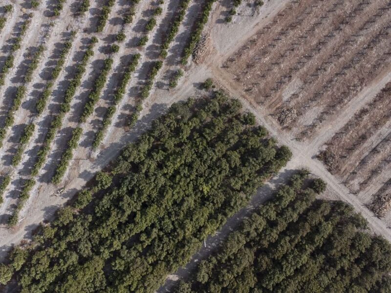 gestión hídrica en el agro